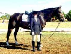 cyberhorse.net.au Tinike