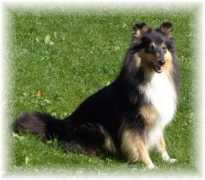 minnlett.com Tinka