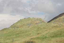 Tinnis