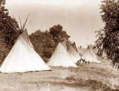 Tipis
