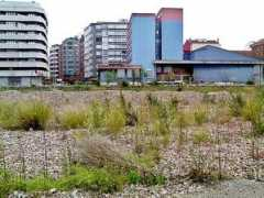 objetivoasturias.elcomercio.es Tirado