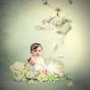 pickleberrypop.com Tiram