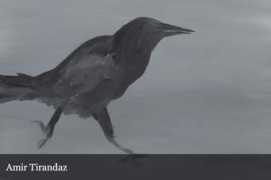 welikeart.nl Tirandaz