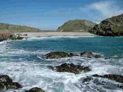 Tiree