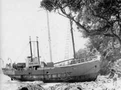Tiri