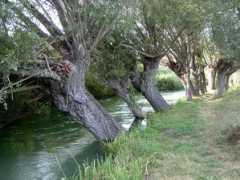 panoramio.com Tirino