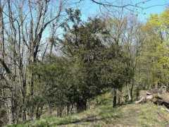 treking.cz Tisy