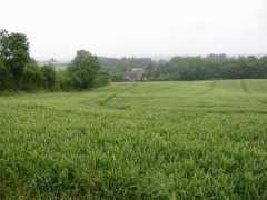 geograph.org.uk Titley