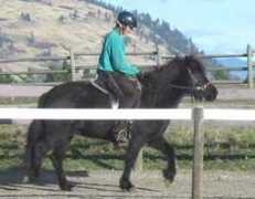 icefarm.com Tjara