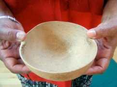 Tlapan