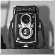 Tlr
