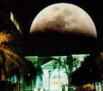 Tmoon