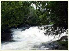 canoeing.com Tneal