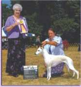 ewhippetzine.com Tobell