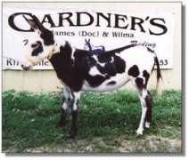asspirinacresdonkeys.com Tobiana