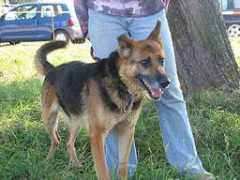 animalhope.de Tobib