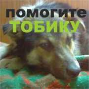 ourfriends.tomsk.ru Tobik