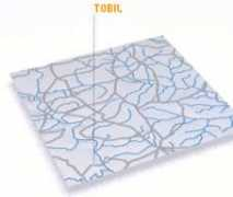 Tobil