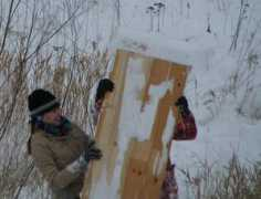 joyce.taron.net Toboggan