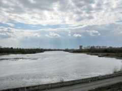 panoramio.com Tobol
