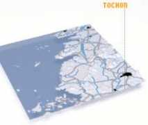 Tochon