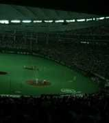 Todome