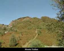 Todun