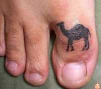 picshag.com Toe