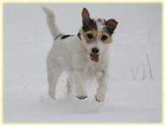 vakantiepark.de Toelen