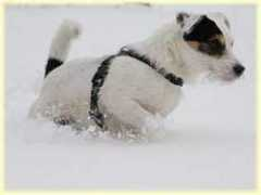 vakantiepark.de Toelen