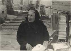 avellinesi.it Tofara