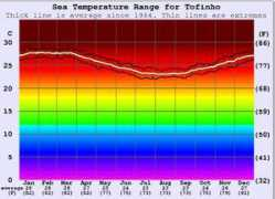 surf-forecast.com Tofinho