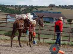 djbarranch.com Togoe
