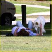 justjaredjr.com Togos