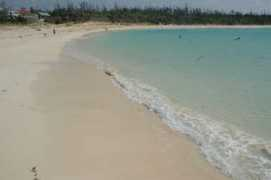 Toguti