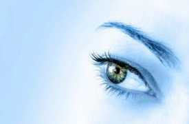 lifedynamix.com Tohami