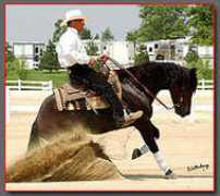 kimdiercksreininghorses.com Tohang