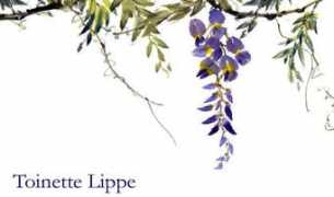 toinettelippe.com Toinette