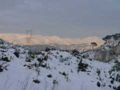 vosphotos.20minutes-blogs.fr Toinon