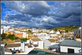 Tojar