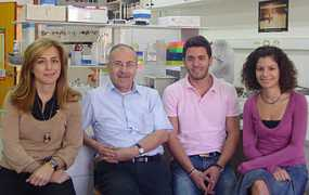 lau.edu.lb Tokajian