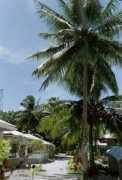 berbecutza.tripod.com Tokelau