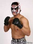 k-1sport.de Tokimitsu