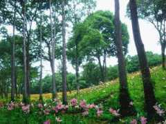 panoramio.com Tokorozawa