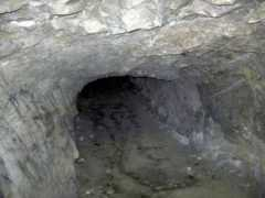 Tola