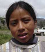fernandoescudero.com.ar Tolaba