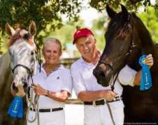 q-equestrian.com Tolanda