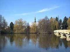 Tolasz