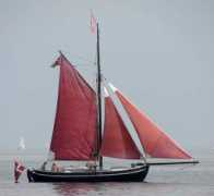 lottebrinch.dk Tolder