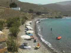 Toli